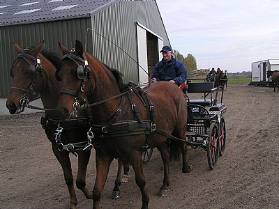 2011 clumkampioenschap 05