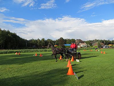 2014 oefen vaardigheid 11